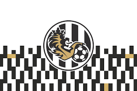 Hradec Kralove FC